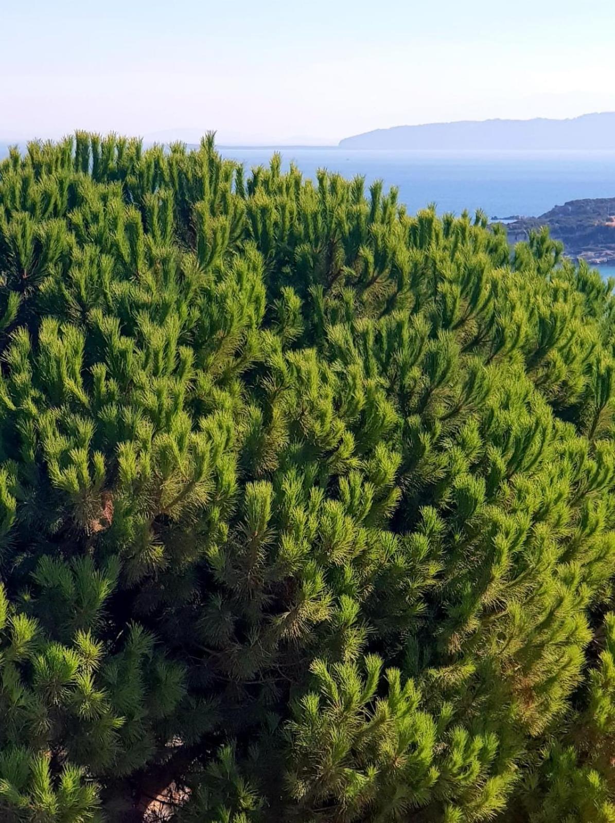 North Wind Hotels - Karaburun Karaburun  Exteriér fotografie